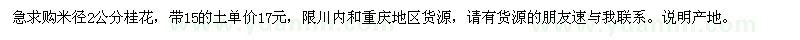 求购米径2公分桂花 