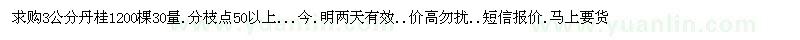 求购3公分丹桂1200棵30量.分枝点50以上