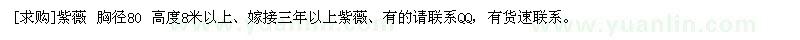 求购紫薇 胸径80 高度8米以上、嫁接三年以上紫薇