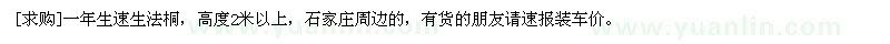 求购一年生速生法桐，高度2米以上