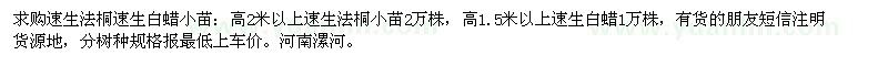 求购速生法桐速生白蜡小苗、高2米以上速生法桐小苗