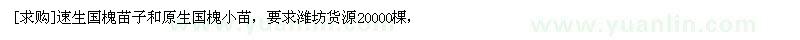 求购速生国槐苗子和原生国槐小苗