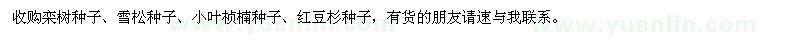 求购栾树种子、雪松种子、小叶桢楠种子、红豆杉种子