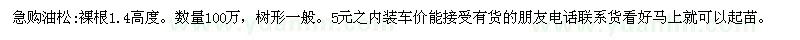 求购油松:裸根1.4高度。数量100万