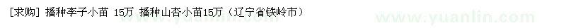 求购 播种李子小苗 15万 播种山杏小苗15万