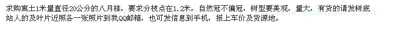 求购离土1米量直径20公分的八月桂