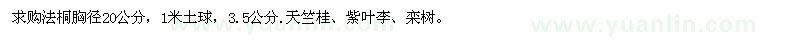 求购法桐、天竺桂、紫叶李、栾树 