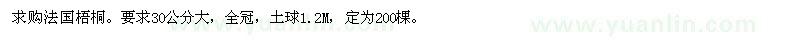 求购法国梧桐