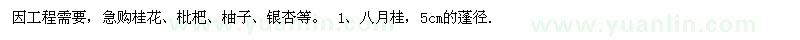 求购紧急桂花、枇杷、柚子、银杏等