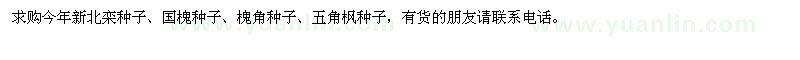 求购今年新北栾种子、国槐种子、槐角种子、五角枫种子