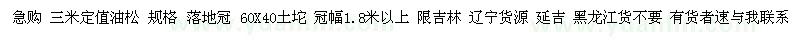 求购三米定值油松 规格 落地冠 60X40土坨 