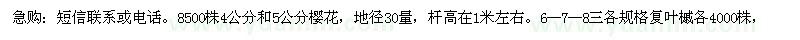 求购8500株4公分和5公分樱花，复叶槭 