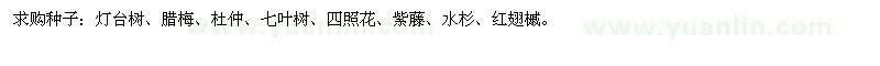 求购水杉、紫藤种子、灯台树、腊梅、杜仲、七叶树等