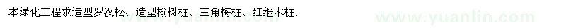 求购造型罗汉松、榆树桩、三角梅桩、红继木桩