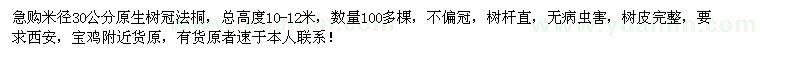 求购米径30公分原生冠法桐100棵