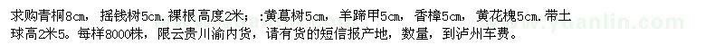 求购青桐、摇钱树、黄葛树、羊蹄甲、香樟、黄花槐