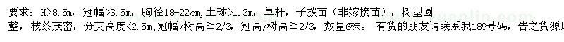 求购胸径18-22公分实生银杏