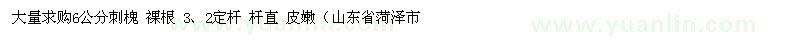 求购6公分刺槐 裸根 3、2定杆 杆直 皮嫩