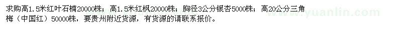 求购红叶石楠、红枫、银杏、三角梅