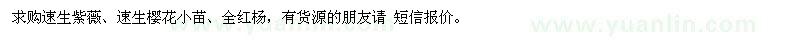 求购速生紫薇、速生樱花小苗、全红杨