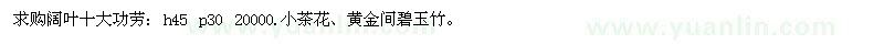 求购黄金间碧玉竹、阔叶十大功劳、小茶花