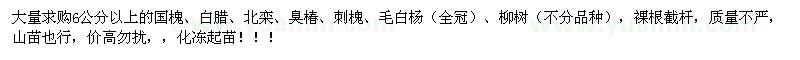 求购国槐、白腊、北栾、臭椿 