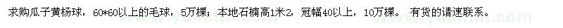 求购瓜子黄杨球,本地石楠