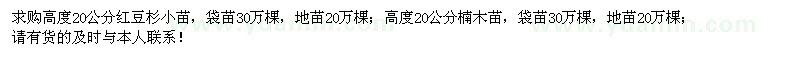 求购高度20公分红豆杉、楠木小苗