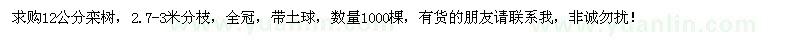 求购12公分栾树1000棵