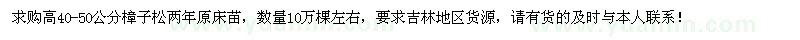 求购高40-50公分樟子松两年原床苗10万棵