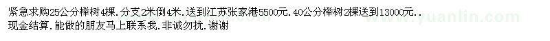 求购25公分、40公分榉树