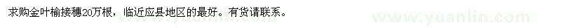 求购金叶榆接穗20万