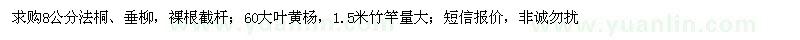 求购法桐、垂柳、大叶黄杨 