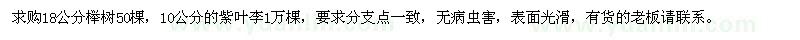 求购18公分榉树、10公分紫叶李