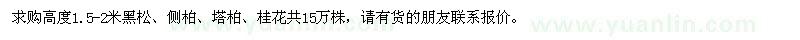 求购高度1.5-2米黑松、侧柏、塔柏、桂花