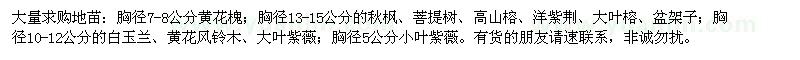 求购黄花槐、秋枫、菩提树、高山榕、洋紫荆、大叶榕、盆架子、白玉兰、黄花风铃木、大叶紫薇、小叶紫薇 