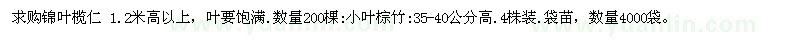 求购锦叶榄仁 小叶棕竹 数量4000袋