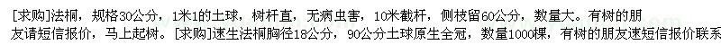 求购法桐，规格30公分，速生法桐胸径18公分