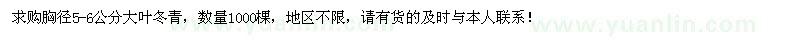 求购胸径5-6公分大叶冬青1000棵