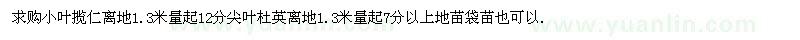 求购小叶揽仁、尖叶杜英