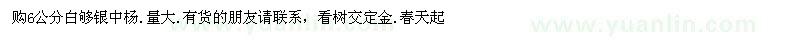 求购6公分白够银中杨