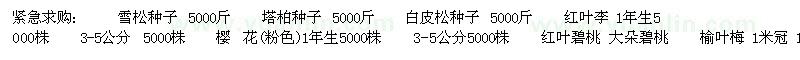 求购紧急：雪松种子、塔柏种子、白皮松种子、红叶李、樱花、红叶碧桃、大朵碧桃、榆叶梅