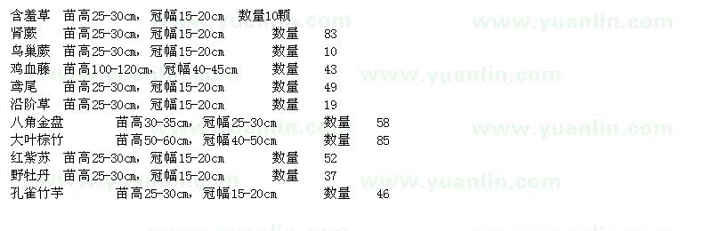 求购含羞草、肾蕨、鸟巢蕨、鸡血藤等