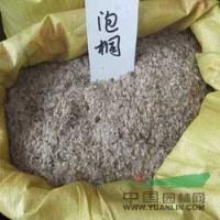 江西泡桐种子*新报价/泡桐种子图片
