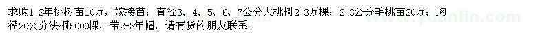 求购桃树苗、大桃树、毛桃苗、法桐