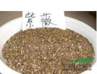 紫薇种子