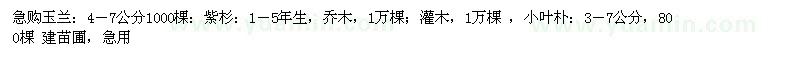 求购玉兰、国槐、紫杉、小叶朴