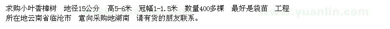 求购地径15公分小叶香樟树