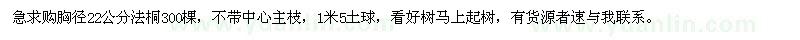 求购胸径22公分法桐300棵