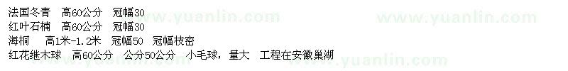 求购法国冬青、红叶石楠、海桐、红花继木球